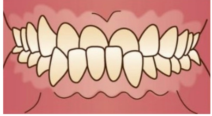 丁寧な説明をする院長/歯科医師の村田紗也子